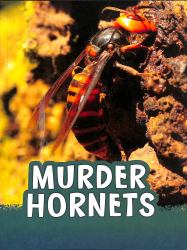 Murder Hornets