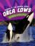 Orca Cows : Leaders of the Pod