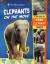 Elephants on the Move : A Day with an Asian Elephant Family