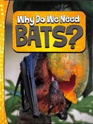 Why Do We Need Bats?