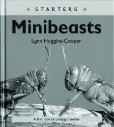 Mini Beasts