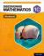 Discovering Mathematics : Workbook