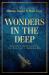 Wonders in the Deep : A History of the World Through Shipwrecks