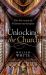 Unlocking the Church : The Lost Secrets of Victorian Sacred Space