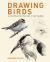 Drawing Birds : A Complete Step-By-Step Guide