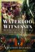 Waterloo Witnesses : Military and Civilian Accounts of the 1815 Campaign