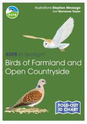 RSPB ID Spotlight - Birds of Farmland and Open Countryside