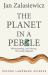 The Planet in a Pebble : A Journey into Earth's Deep History