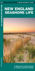 New England Seashore Life : A Waterproof Folding Guide to Familiar Species