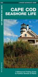 Cape Cod Seashore Life : A Waterproof Folding Guide to Familiar Animals and Plants