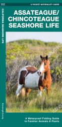 Assateague: Chincoteague Seashore Life : A Waterproof Folding Guide to Familiar Animals and Plants