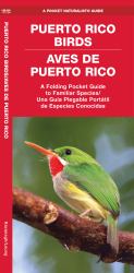 Puerto Rico Birds