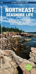 Northeastern Seashore Life : A Waterproof Folding Guide to Familiar Animals and Plants North of Massachusetts