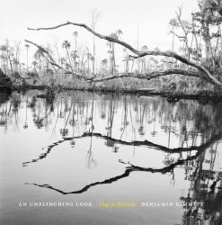 An Unflinching Look : Elegy for Wetlands