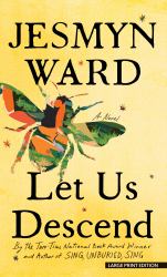 Let Us Descend : A Novel