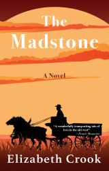 The Madstone : A Novel