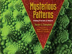 Mysterious Patterns : Finding Fractals in Nature