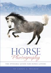 Horse Photography