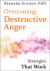 Overcoming Destructive Anger : Strategies That Work