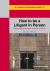 A Straightforward Guide to How to Be a Litigant in Person : 2nd Edition