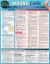 Wound Care : A QuickStudy Laminated Reference Guide