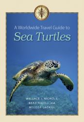 A Worldwide Travel Guide to Sea Turtles 