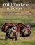 Wild Turkeys in Texas : Ecology and Management