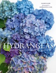 Hydrangeas : Beautiful Varieties for Home and Garden