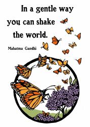 Mahatma Gandhi, Shake the World : Boxed Set of 6 Cards