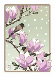 Winter Magnolia : Boxed Set of 6 Cards