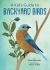 A Kid's Guide to Backyard Birds