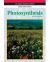 Photosynthesis: Heinle Reading Library, Academic Content Collection : Heinle Reading Library