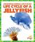 Life Cycle of a Jellyfish