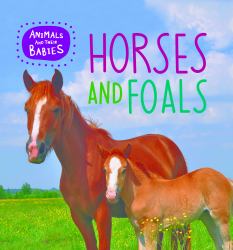 Horses and Foals