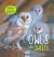 Owls and Owlets