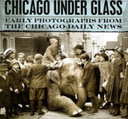 Chicago under Glass : Early Photographs from the Chicago Daily News