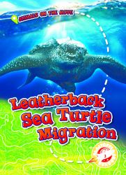 Leatherback Sea Turtle Migration