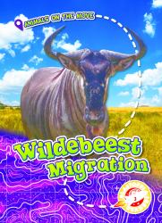 Wildebeest Migration