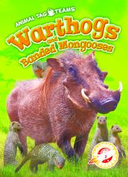 Warthogs and Banded Mongooses