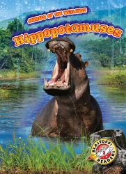 Hippopotamuses