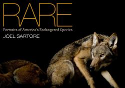 National Geographic Rare : Portraits of America's Endangered Species