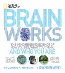 Brainworks : The Mind-Bending Science of How You See, What You Think, and Who You Are