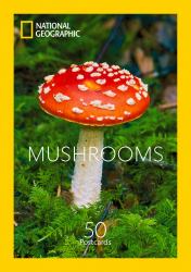 Mushrooms : 50 Postcards