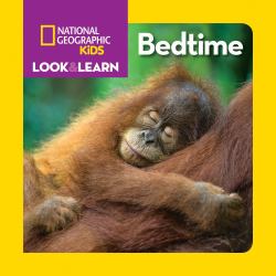 National Geographic Kids Look and Learn: Bedtime