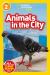 Animals in the City (National Geographic Kids Readers, Level 2)