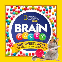 Brain Candy : 500 Sweet Facts to Satisfy Your Curiosity