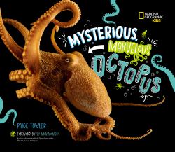 Mysterious, Marvelous Octopus