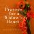 Prayers for a Widow's Heart : Honest Conversations with God