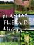 Plantas Fuera de Lugar (Plants Out of Place )