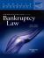 Principles of Bankruptcy Law